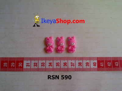 rsn 590  large2